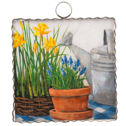 Mini Garden Pots