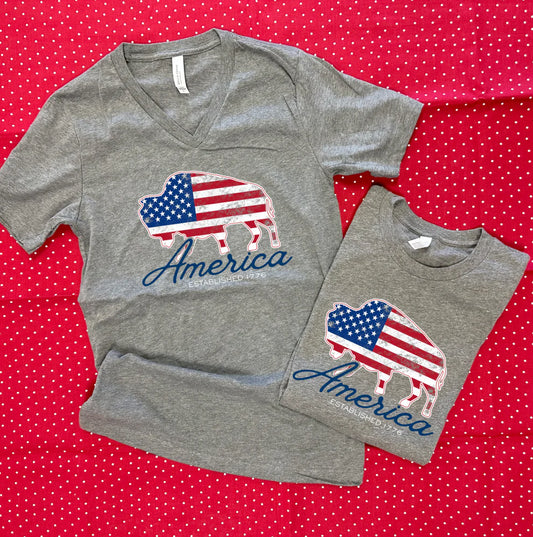 AMERICAN SPIRIT 2026: American Flag Buffalo