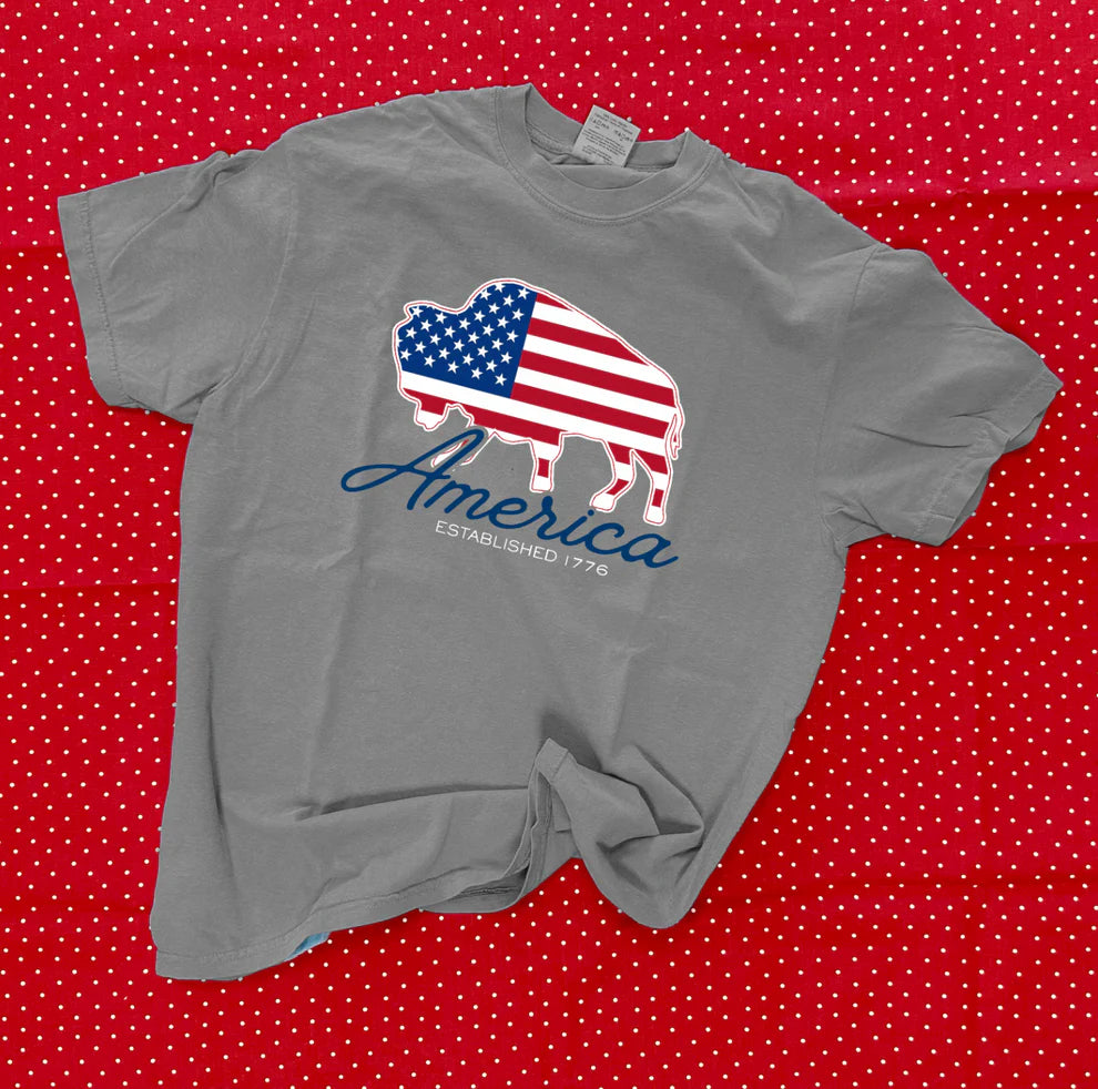 AMERICAN SPIRIT 2026: American Flag Buffalo