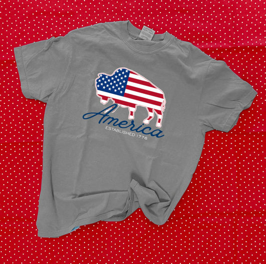AMERICAN SPIRIT 2026: American Flag Buffalo